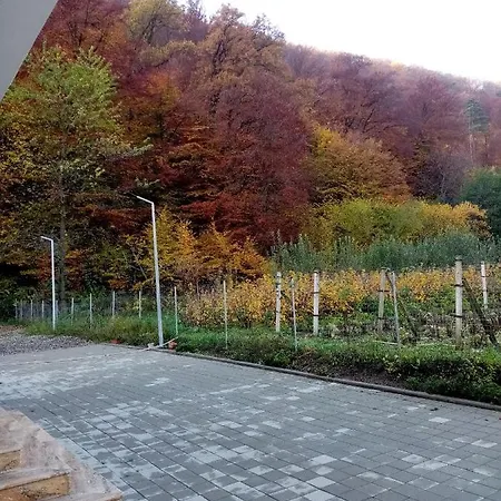 Гостевой дом Livada Amely Gales